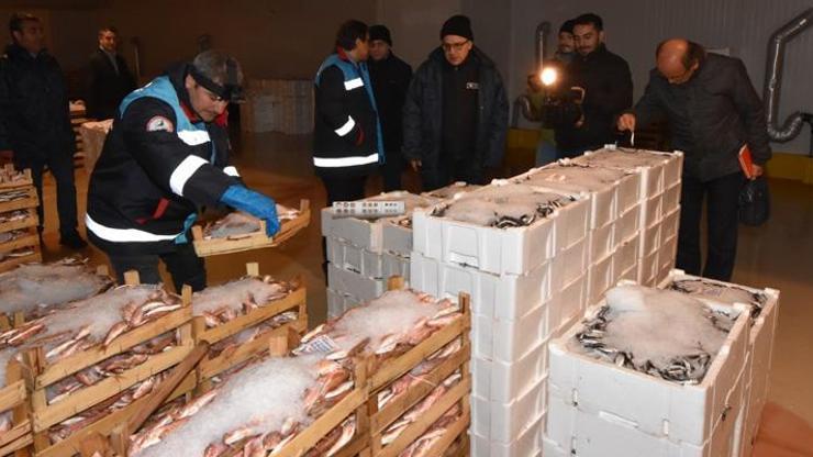 İstanbul’da balıkçılara şok baskın