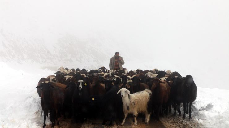 Yayla dönüşü kara yakalandılar