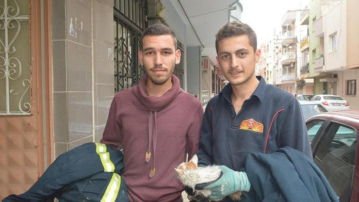 Havalandırma boşluğuna düşen yavru kediyi itfaiye kurtardı