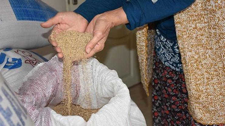 Kredi çekerek astronatların yiyeceği ’kinoa’ üretti elinde kaldı