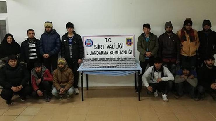 Siirtte 14 düzensiz göçmen yakalandı