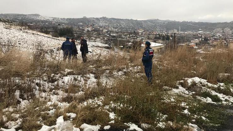 Sokak köpekleri öğrencilere saldırdı: 1 ölü, 1 yaralı