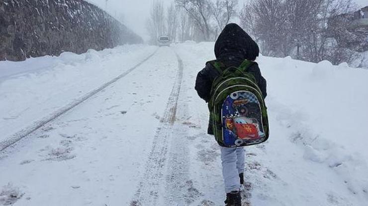 Ardahan ve Erzincanda okullar tatil