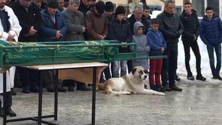 Kalp krizinden ölen çocuğu son yolculuğunda köpeği yalnız bırakmadı
