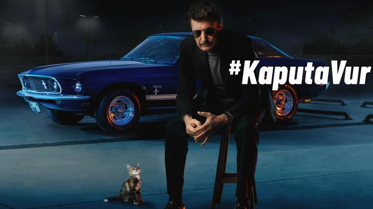 Kediler için “kaputa vur”