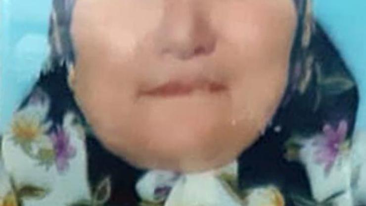 Otlattığı tekenin boynuz darbeleri öldürdü
