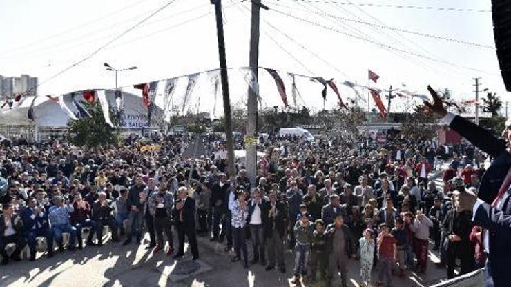 Zeytinköyde tapu sevinci