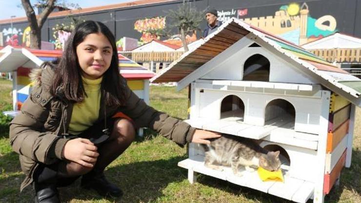 Dokumaparka kedi evleri