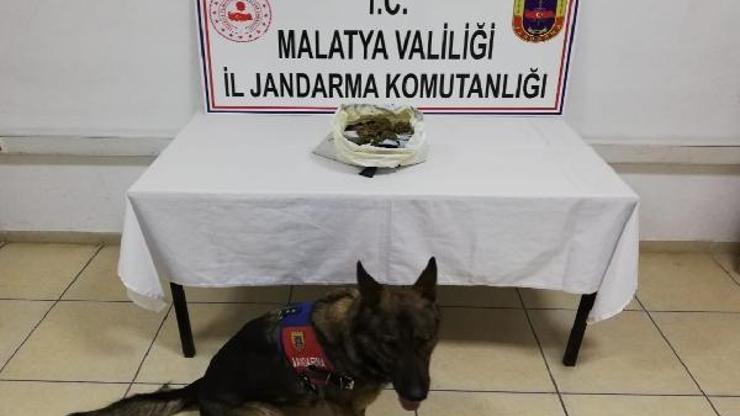 Malatyada uyuşturucuya gözaltı
