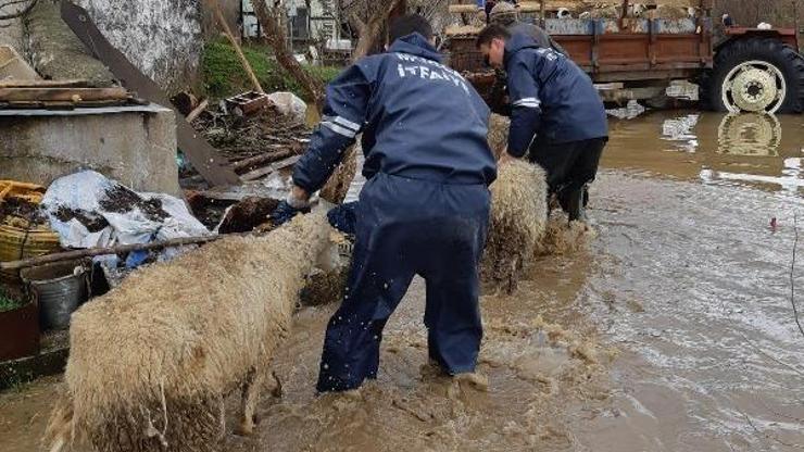 Hava muhalefetinin yaşandığı Muğlada hayat normale döndü