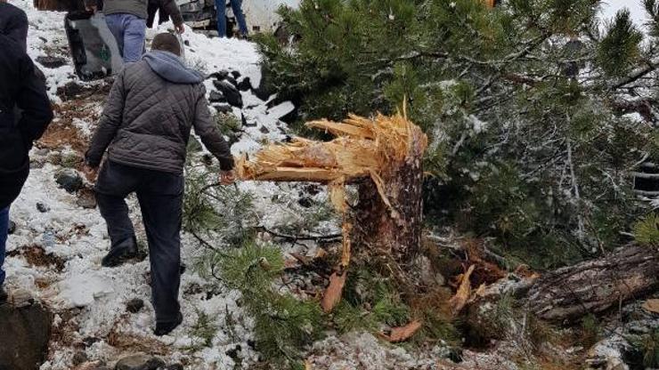 Elazığda midibüs devrildi: 7 yaralı
