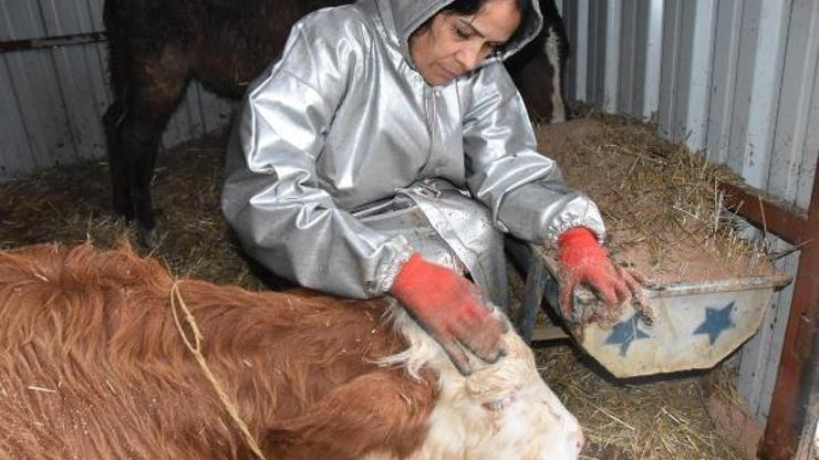 Dana Yunusun bacağı, bedenini taşıyamıyor