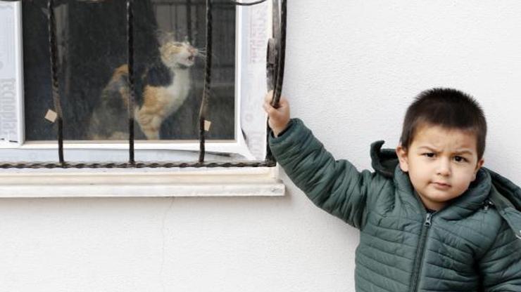 Boş dairede mahsur kalan kedi kurtarıldı