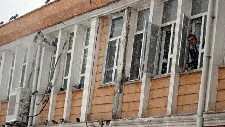 Turhal Belediyesi personeli, güvercinlere sahip çıktı