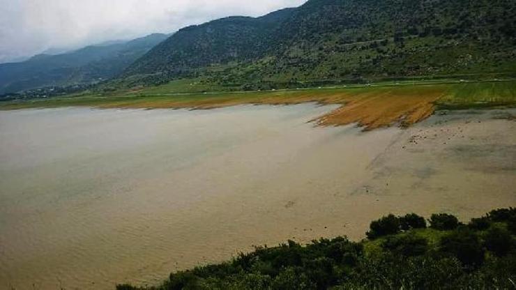 İslahiyede kuruyan göl yağmurlarla yeniden doldu, ekili arazi su altına kaldı