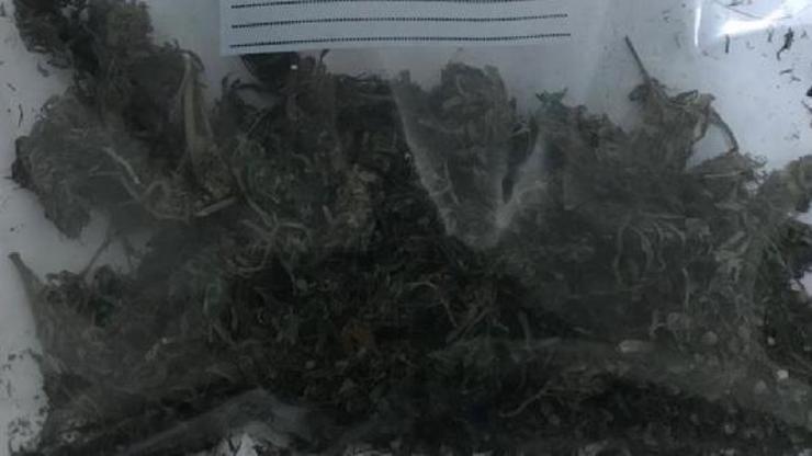 Amasyada otomobildeki esrara 3 gözaltı