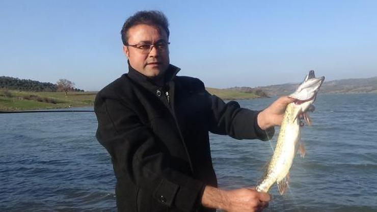Kara Menderes Çayında turna balığı tehdidi