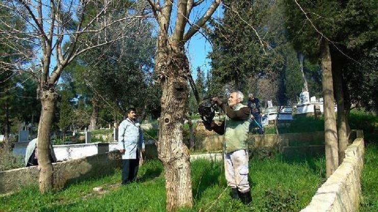İslahiyede mezarlıklar temizleniyor