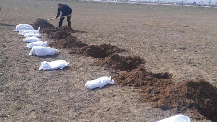 Temsili cenaze töreniyle hayvanların katledilmesine tepki gösterdiler