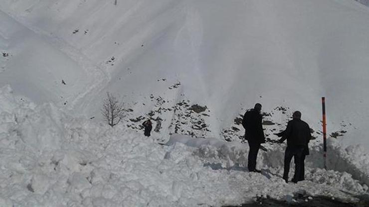 Şırnak-Hakkari karayoluna çığ düştü