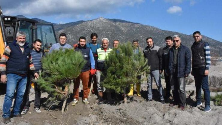Enstitüde fidanlar toprakla buluşuyor