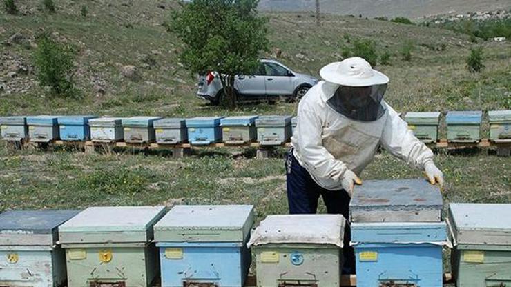 Arı sütünün kilosu 10 bin TLye ulaştı