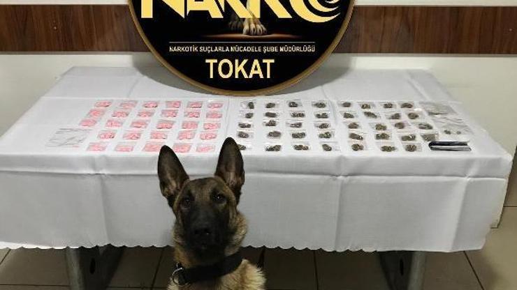 Tokatta 5 uyuşturucu taciri tutuklandı