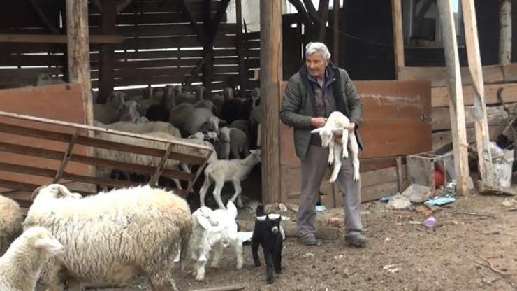Denetimli serbestlikle cezaevinden çıktı, yine uyuşturucu ticaretinden tutuklandı