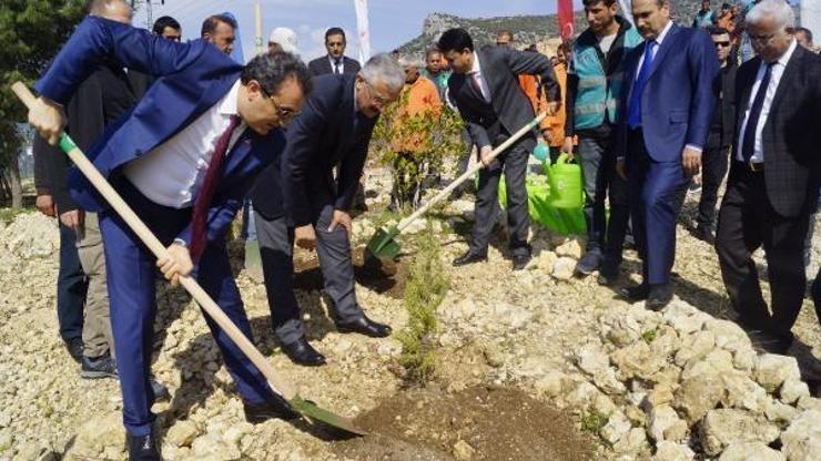 Adalet Ormanı’nda fidanlar toprakla buluştu
