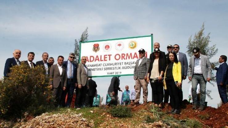 Manavgatta hatıra ormanları oluşturuldu