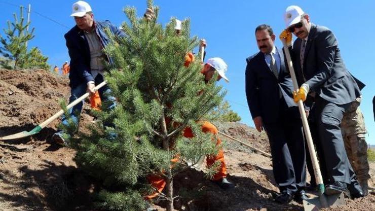 Sivasta Adalet Ormanı oluşturuldu