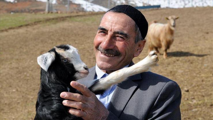 Bingöllü çobana koyunlarla imtihanı ün getirdi