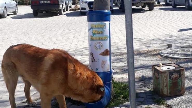 Bozüyük’te mama kapları yenilendi