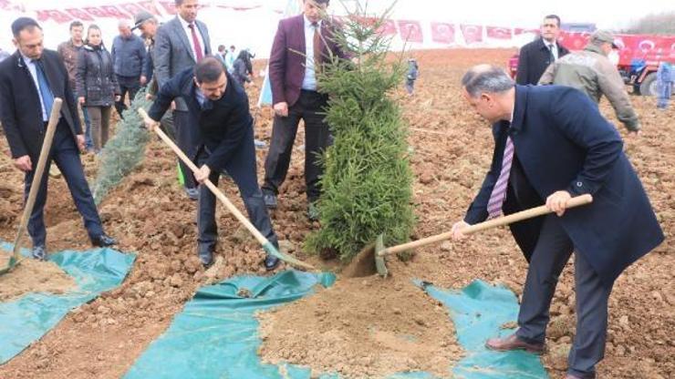 Adalet Ormanı Bursa’da yeşeriyor