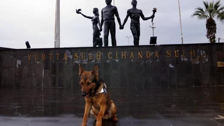 Özel eğitimli narkotik köpeği Jovy de protokol sırasında