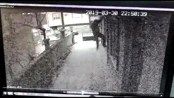 Örümcek Adam çetesi yakalandı