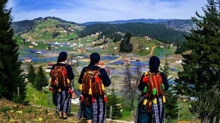 Kadıralak Yaylası, bu yıl da mora büründü