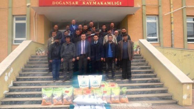 Doğanşarda üreticilere yonca ve korunga dağıtımı