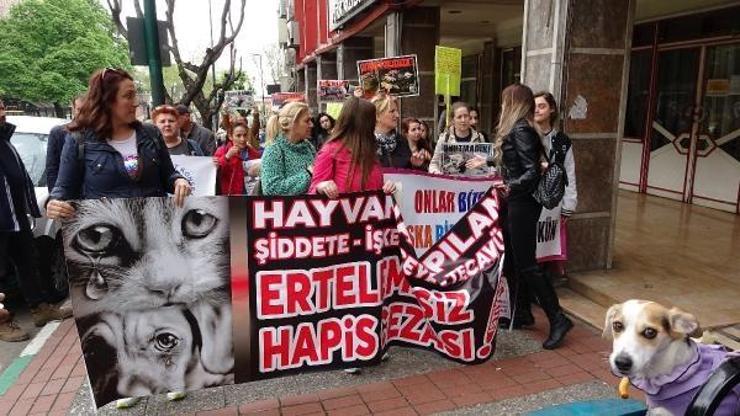 Bursada hayvanseverlerden, yasa değişsin talebi