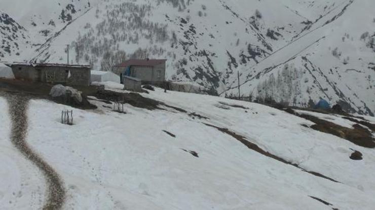 Muş Ovasında bahar, yükseklerde kış