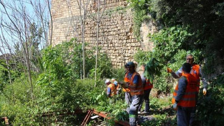 Büyükşehirden tarihi surlarda bahar temizliği