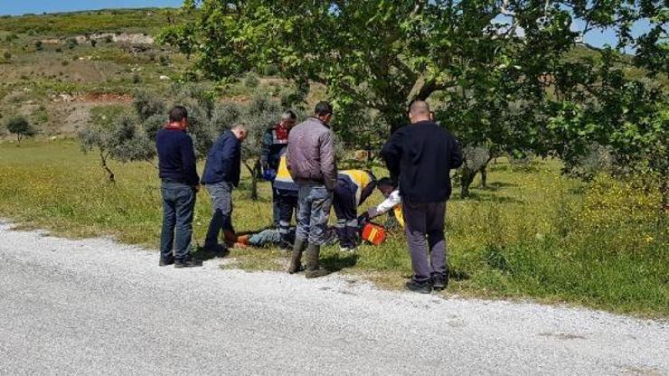 Çoban yol kenarında ölü bulundu