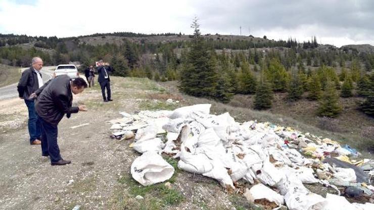 Ormanlık alanlara dökülen çöpler toplandı
