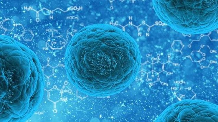 En fazla ölüm dolaşım sistemi hastalığından