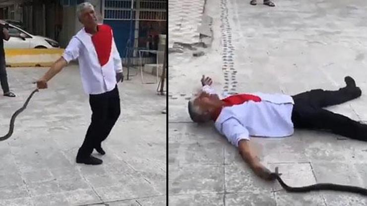 Alacaklarını tahsil edemeyince kendini yılan ısırttı