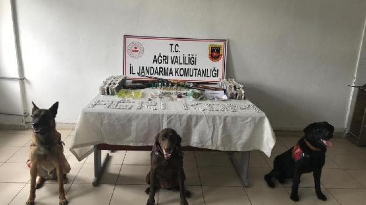Ağrıda uyuşturucu operasyonu: 18 gözaltı