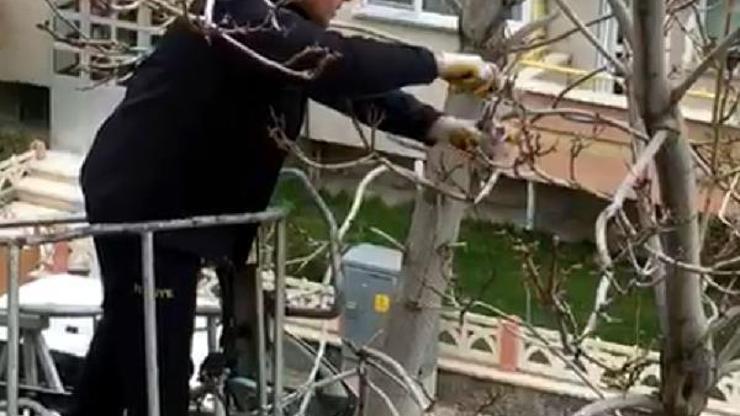 Kargaların yaraladığı güvercini, itfaiye kurtardı