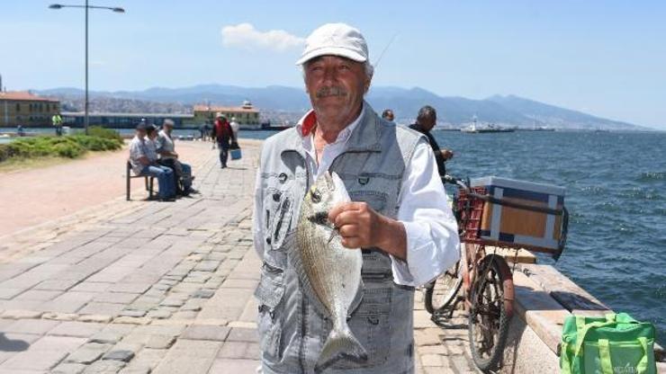 İzmirde çipura ve lidaki zamanı