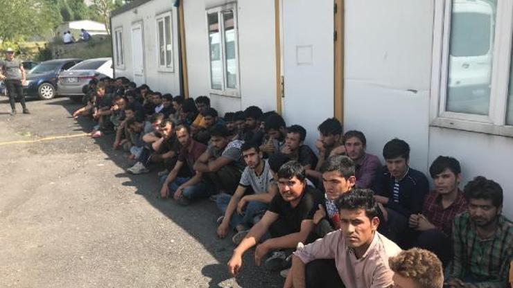Vanda 37si bir minibüste, 77 kaçak yakalandı