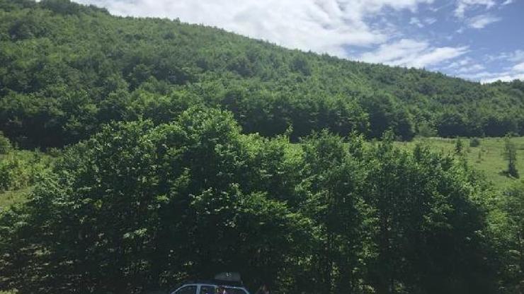 Kayıp başvurusunda bulunulan kişi için arama çalışması başlatıldı